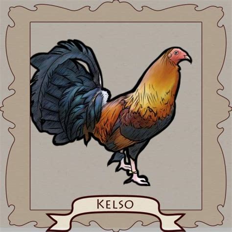 john bishop kelso fighting style|Kelso: The Smartest Fighting Rooster AND the Magic of Crossbreeding.
